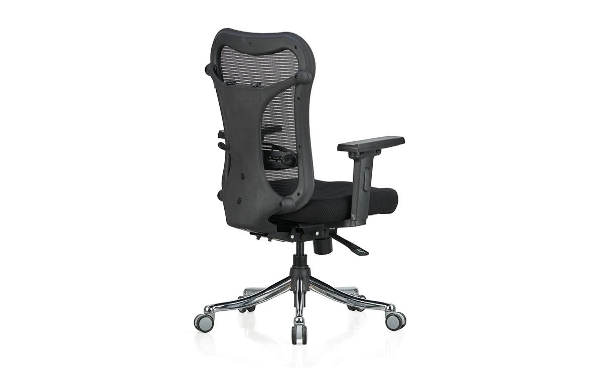 optima-mb-jsku4-back-view-1200x740